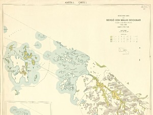 Ekonomisk karta över Bergö och Malax socknar på grundval av